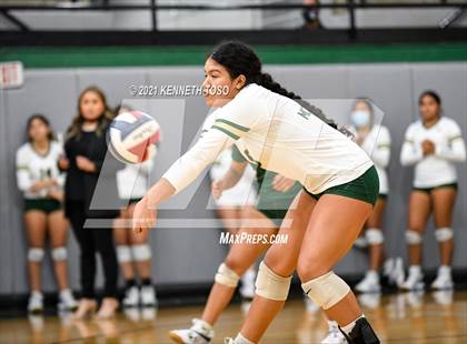 Thumbnail 2 in McCollum @ Medina Valley photogallery.