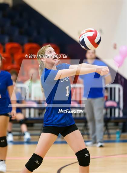 Thumbnail 3 in Cape Fear Christian Academy @ Freedom Christian Academy photogallery.