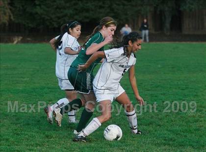 Thumbnail 3 in Casa Grande @ Sonoma Valley photogallery.