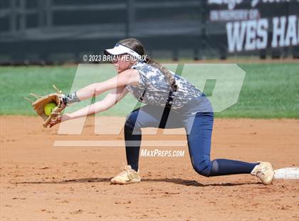 Thumbnail 3 in East Forsyth @ North Davidson photogallery.