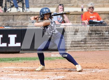 Thumbnail 3 in East Forsyth @ North Davidson photogallery.