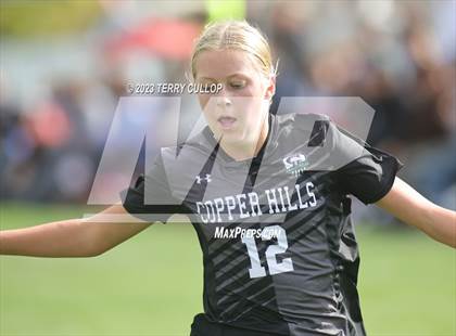 Thumbnail 3 in Mountain Ridge @ Copper Hills photogallery.