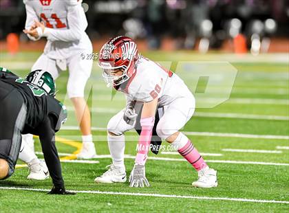 Thumbnail 1 in Saratoga @ Homestead photogallery.