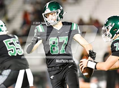 Thumbnail 3 in Saratoga @ Homestead photogallery.