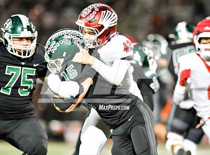 Thumbnail 1 in Saratoga @ Homestead photogallery.