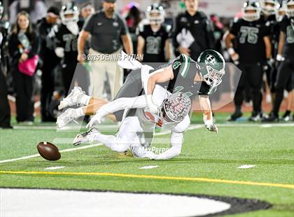 Thumbnail 3 in Saratoga @ Homestead photogallery.