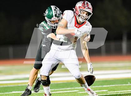 Thumbnail 1 in Saratoga @ Homestead photogallery.