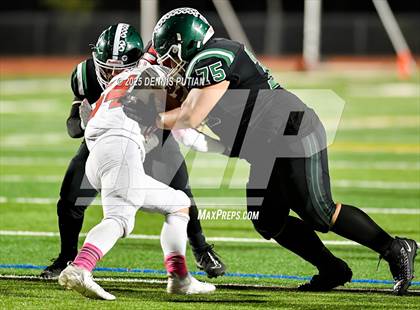 Thumbnail 3 in Saratoga @ Homestead photogallery.