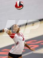 Photo from the gallery "Olive Branch @ Center Hill"