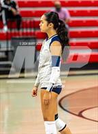 Photo from the gallery "Olive Branch @ Center Hill"