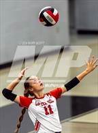 Photo from the gallery "Olive Branch @ Center Hill"