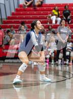 Photo from the gallery "Olive Branch @ Center Hill"