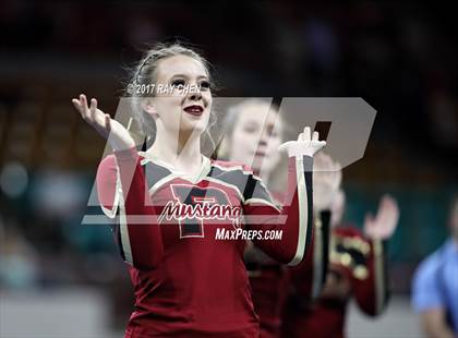Thumbnail 2 in CHSAA Spirit Championships (Cheer) photogallery.