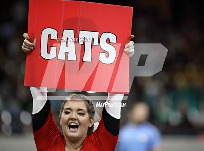 Thumbnail 1 in CHSAA Spirit Championships (Cheer) photogallery.
