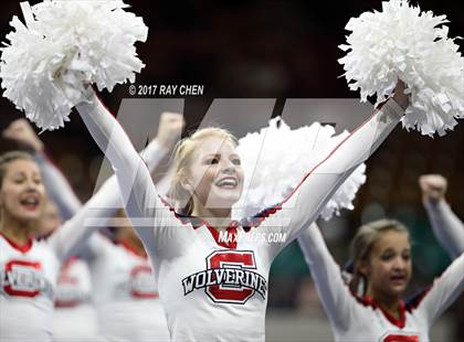Thumbnail 3 in CHSAA Spirit Championships (Cheer) photogallery.
