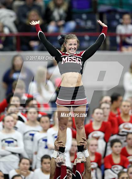 Thumbnail 1 in CHSAA Spirit Championships (Cheer) photogallery.