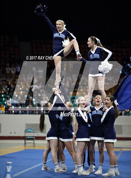 Thumbnail 2 in CHSAA Spirit Championships (Cheer) photogallery.