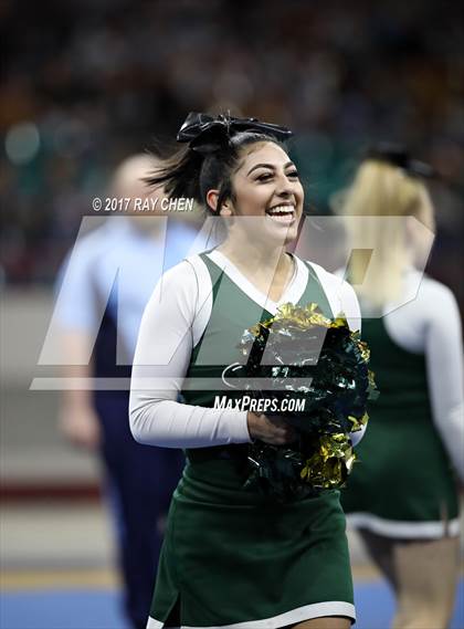Thumbnail 2 in CHSAA Spirit Championships (Cheer) photogallery.