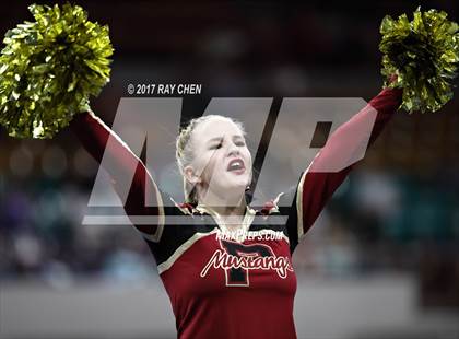 Thumbnail 3 in CHSAA Spirit Championships (Cheer) photogallery.
