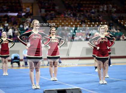 Thumbnail 1 in CHSAA Spirit Championships (Cheer) photogallery.