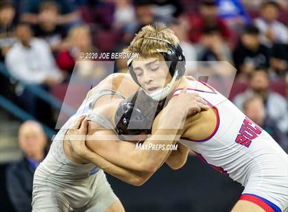 Thumbnail 3 in CIF Wrestling Semifinals photogallery.