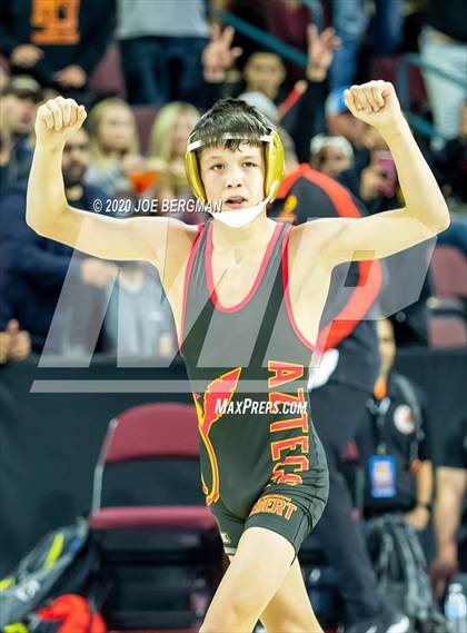 Thumbnail 3 in CIF Wrestling Semifinals photogallery.