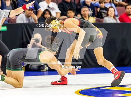 Thumbnail 2 in CIF Wrestling Semifinals photogallery.