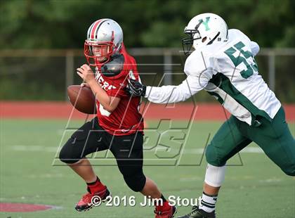 Thumbnail 3 in Yorktown @ Somers photogallery.