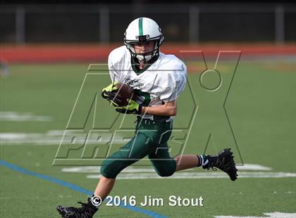 Thumbnail 3 in Yorktown @ Somers photogallery.
