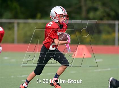 Thumbnail 1 in Yorktown @ Somers photogallery.