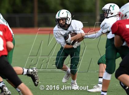 Thumbnail 1 in Yorktown @ Somers photogallery.