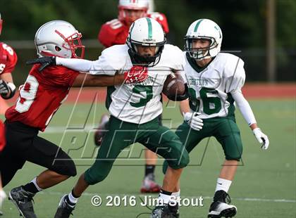 Thumbnail 3 in Yorktown @ Somers photogallery.