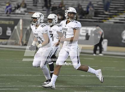 Thumbnail 2 in Narbonne vs Pittsburg (CIF State D1-A Final) photogallery.