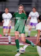 Photo from the gallery "Cesar Chavez @ Mountain Ridge"