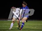 Photo from the gallery "Selinsgrove vs. Central Columbia (PIAA District 4 1A Final)"