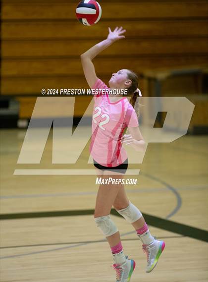 Thumbnail 2 in Camarillo @ Moorpark photogallery.