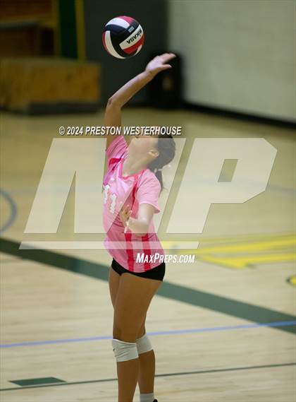 Thumbnail 1 in Camarillo @ Moorpark photogallery.