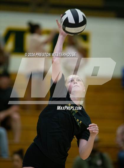 Thumbnail 1 in Camarillo @ Moorpark photogallery.