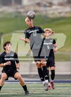 Photo from the gallery "Bear River @ Ridgeline"