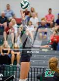 Photo from the gallery "Windsor @ Fossil Ridge"