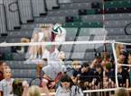 Photo from the gallery "Windsor @ Fossil Ridge"