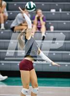 Photo from the gallery "Windsor @ Fossil Ridge"