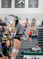 Photo from the gallery "Windsor @ Fossil Ridge"