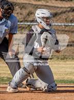 Photo from the gallery "Arroyo @ Marshall"