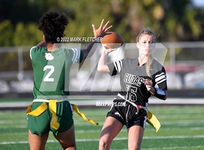 Thumbnail 2 in Flagler Palm Coast @ New Smyrna Beach photogallery.