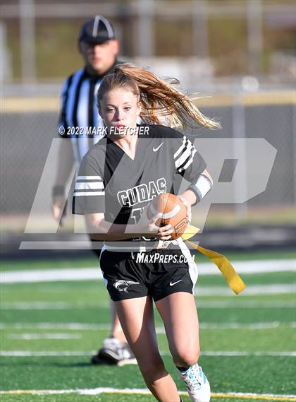 Thumbnail 1 in Flagler Palm Coast @ New Smyrna Beach photogallery.