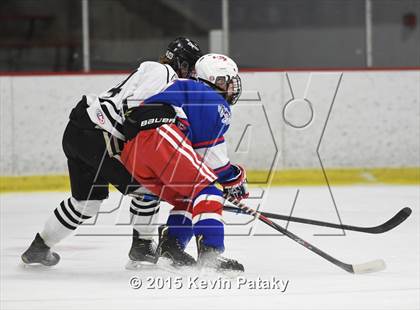 Thumbnail 2 in Glastonbury @ Xavier photogallery.