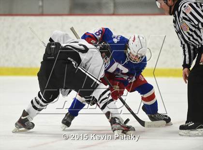 Thumbnail 2 in Glastonbury @ Xavier photogallery.