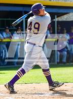 Photo from the gallery "Escalon @ Linden"