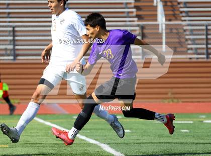 Thumbnail 3 in Warren vs. Lynwood photogallery.
